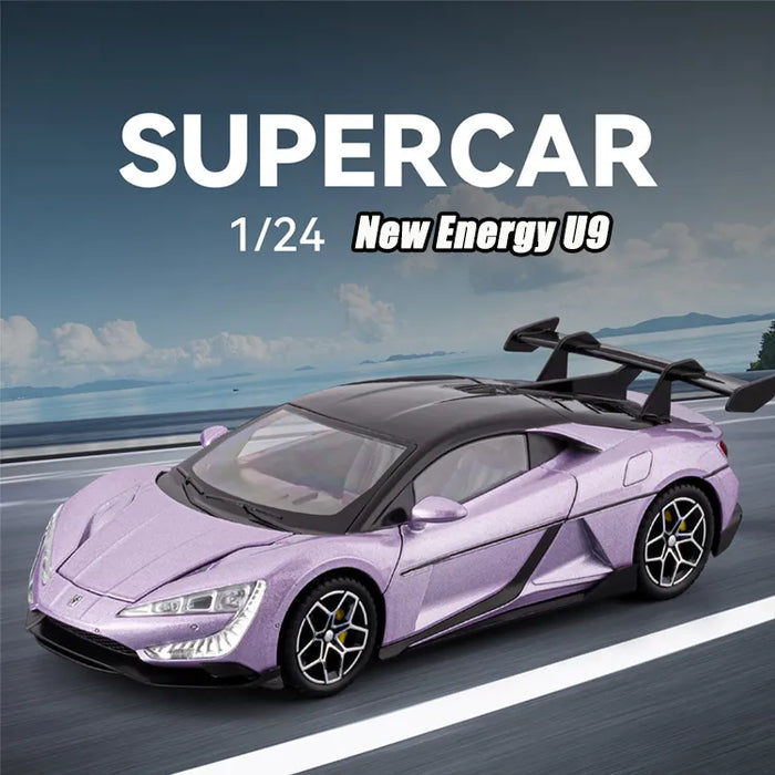 1:24 Diecast New Energy U9 Model Car
