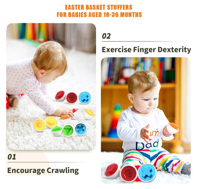 Early Learner Starter Pack – 3 Educational Toys