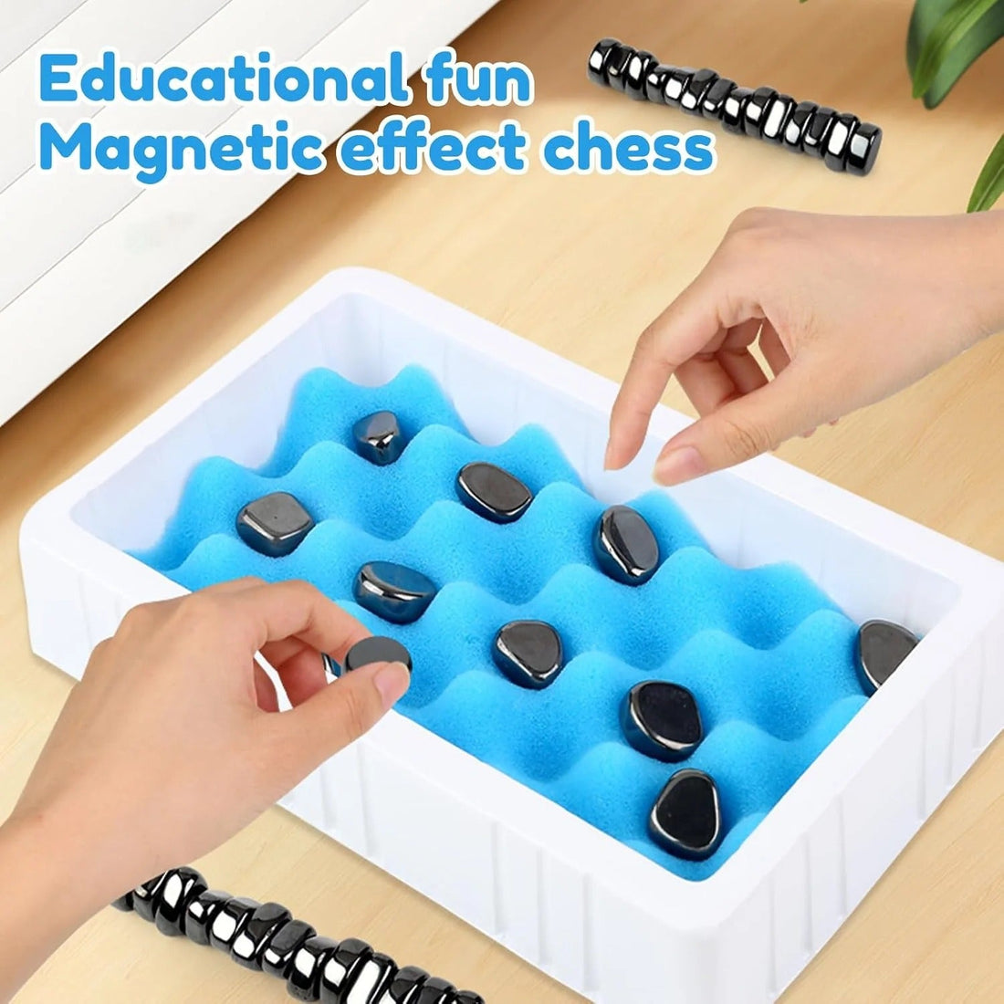 2-in-1 Magnetic Chess Family Game